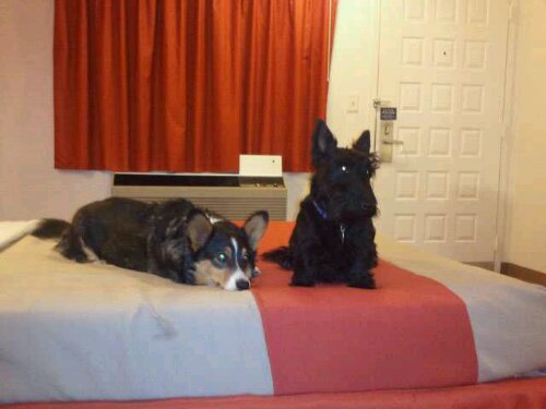 1352005745120.jpg image