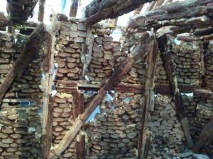 908325_10201018874742141_1923588784_n