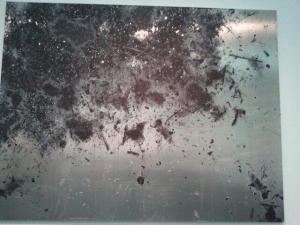 912513_10201018864621888_125922560_n