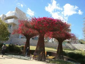 912992_10200949437126244_762610608_n