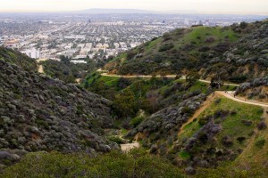 Runyan_Canyon_LA-06