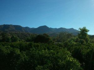 975526_10201188508702884_38300862_n