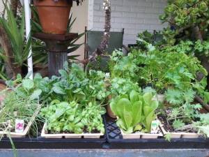 1388130_10202072947693306_1955639987_n