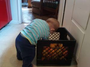 1420494_10202344943453030_522573832_n