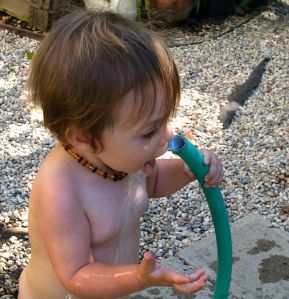 Drinking from hose