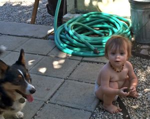 Luna sitting with Cordie