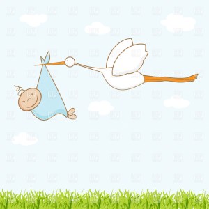 baby-boy-stork-clipart-wallpaper-stork-and-baby-boy---announcement-card-people-download-royalty