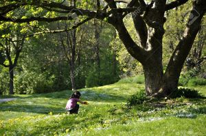9533475-Little-girl-picking-flowers-under-a-beautiful-tree-in-spring-Stock-Photo