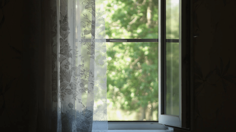 videoblocks-white-sheer-curtain-blowing-in-the-wind-from-the-open-window-on-a-summer-day_b-lu-lewwb_thumbnail-full01